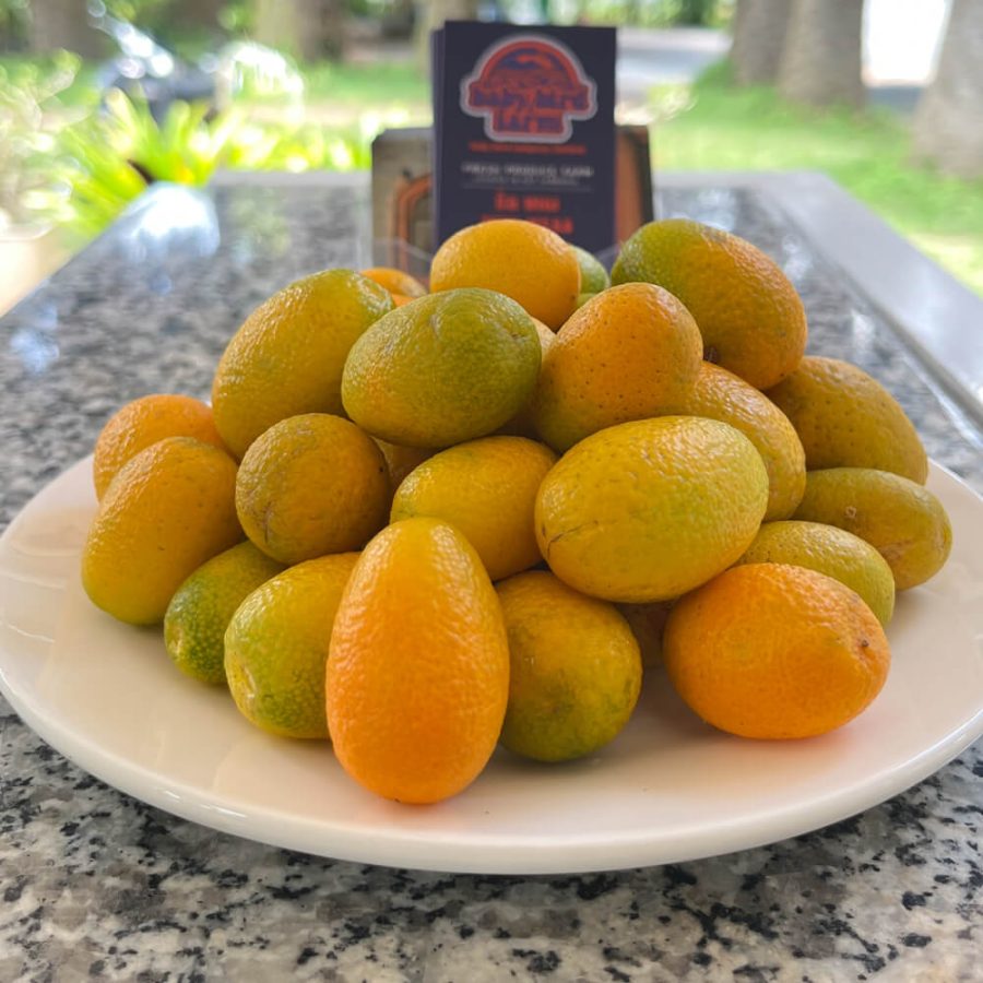 Kumquat - Image 6