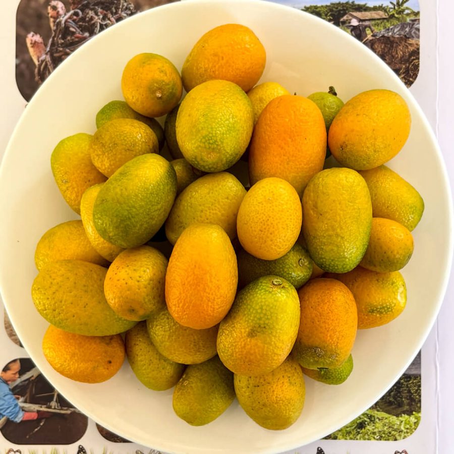 Kumquat