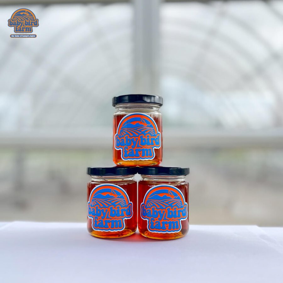 Honey - Image 3