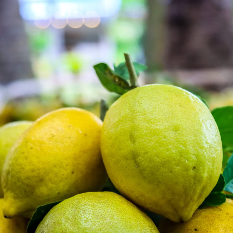 Meyer lemon - Image 8