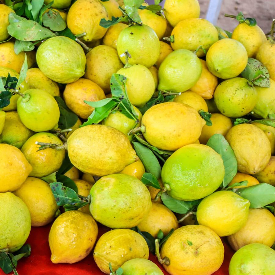 Meyer lemon - Image 7