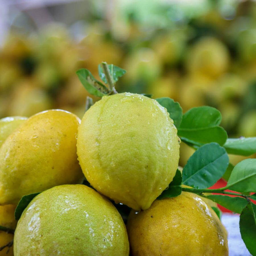 Meyer lemon