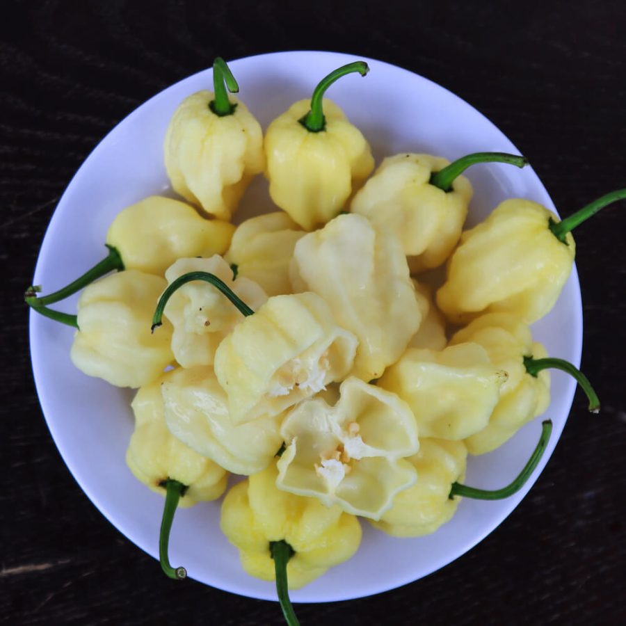 7 pot white