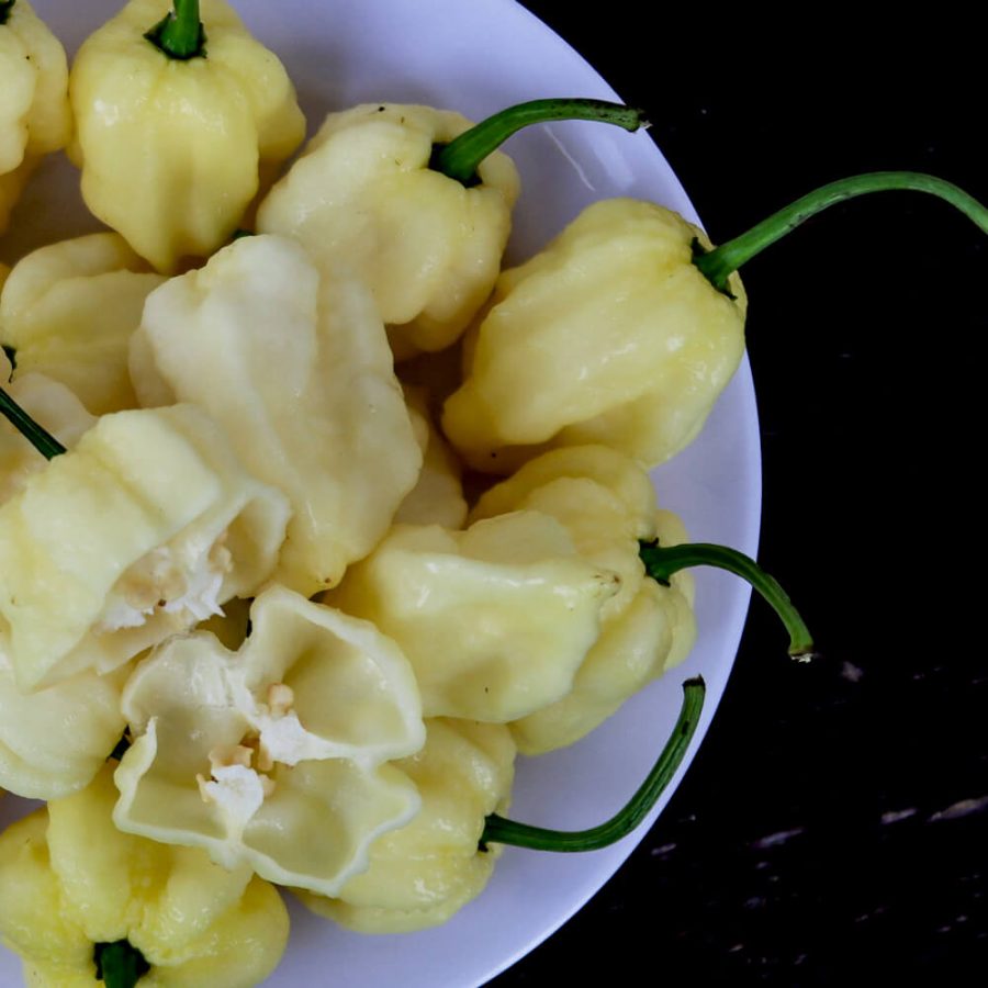 7 pot white - Image 3