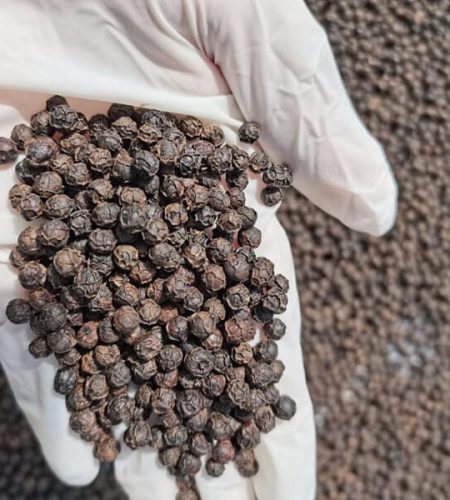 Black Pepper
