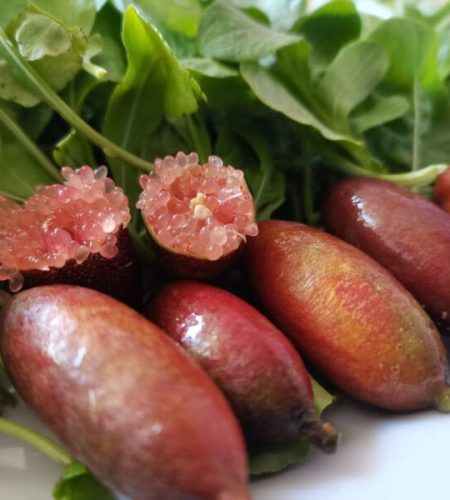 Finger Lime